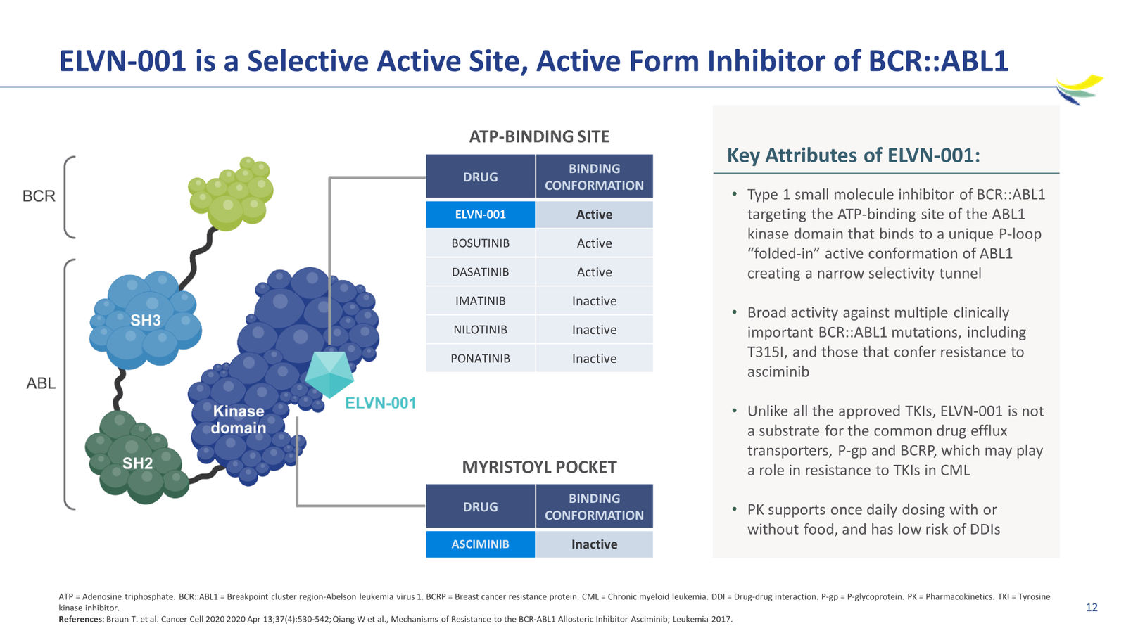 Enliven Non-Confidential Overview JPM 2026 — slide 12 of 51