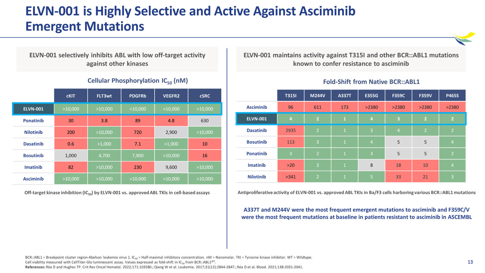 Enliven Non-Confidential Overview JPM 2026 — slide 13 of 51