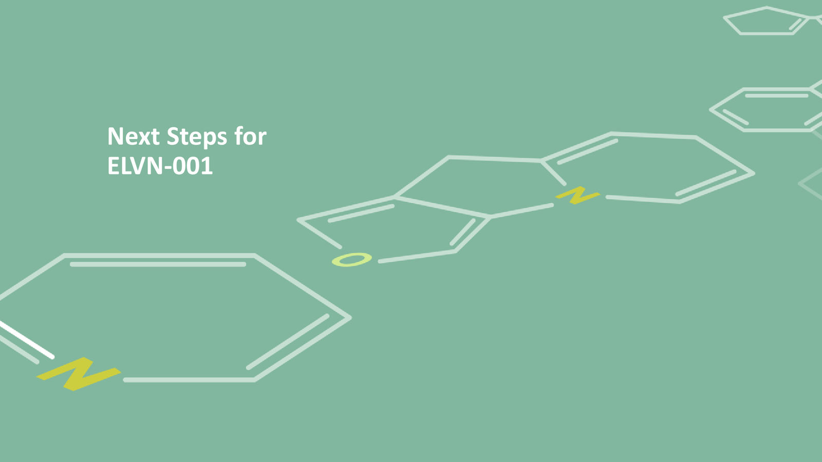 Enliven Non-Confidential Overview JPM 2026 — slide 19 of 51