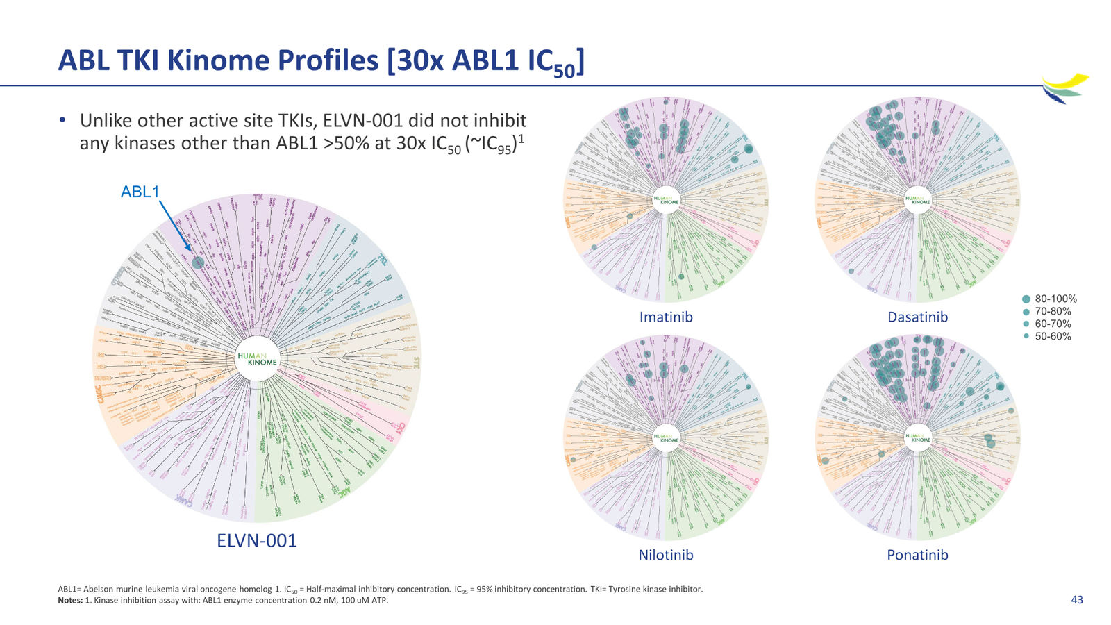Enliven Non-Confidential Overview JPM 2026 — slide 43 of 51