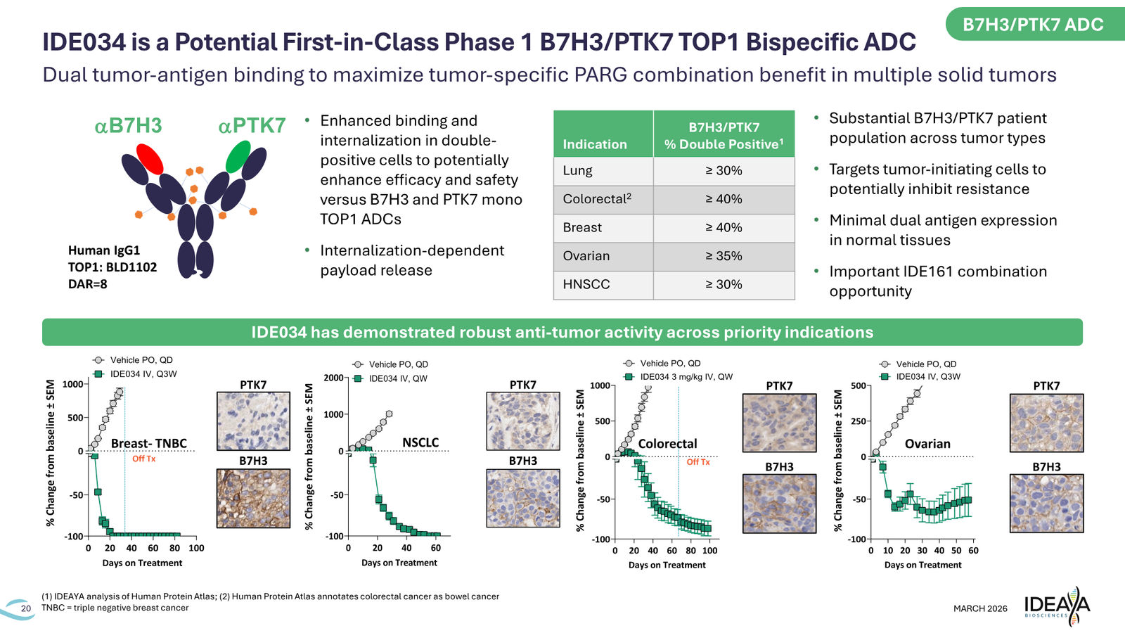 IDEAYA Corporate Deck March 2026 — slide 20 of 27