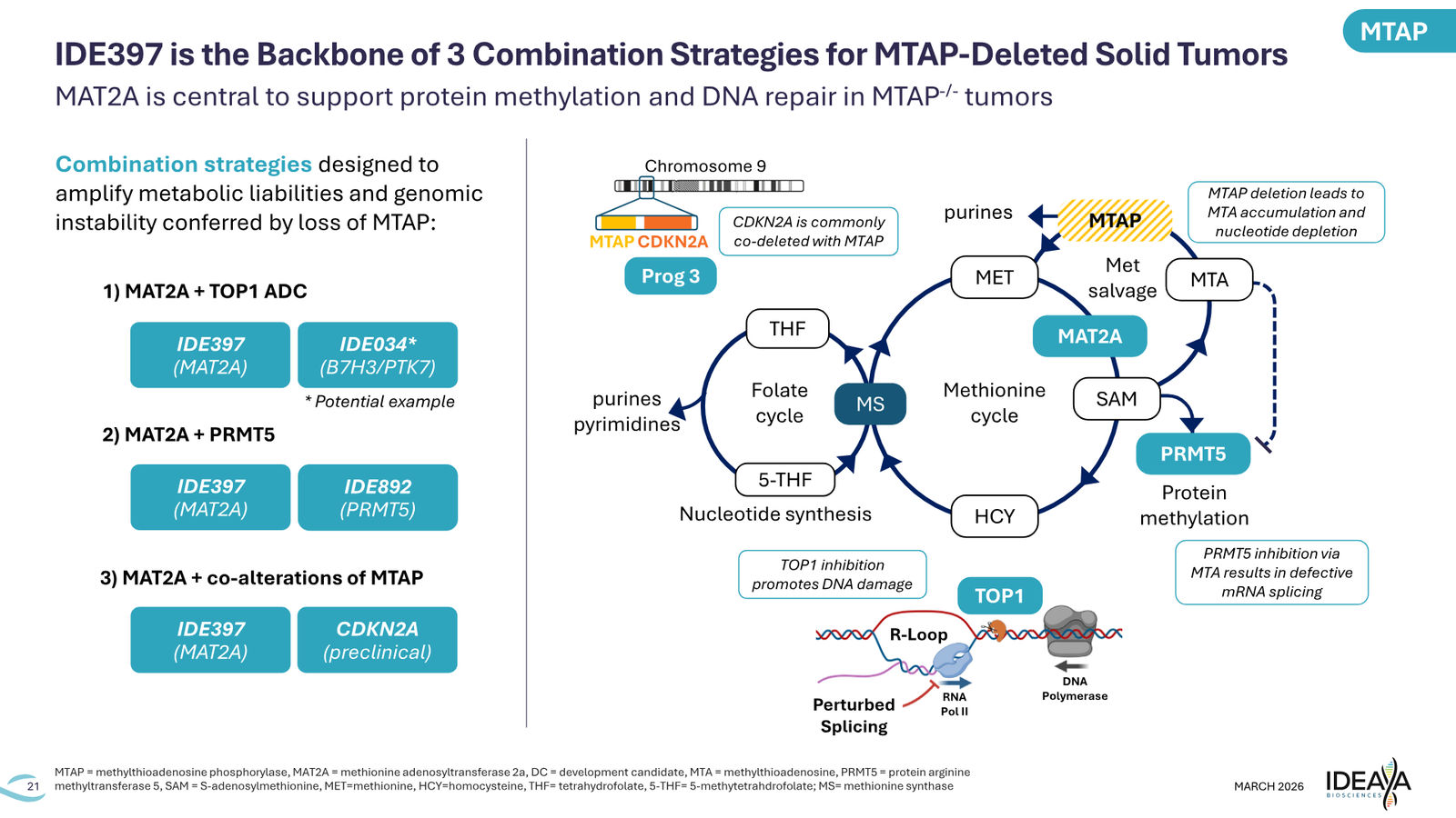 IDEAYA Corporate Deck March 2026 — slide 21 of 27