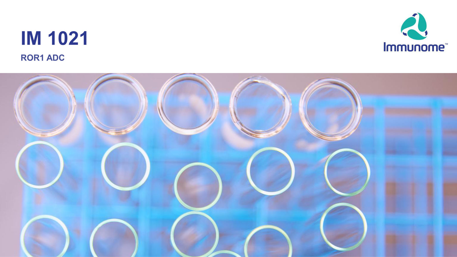 Immunome Corporate Presentation — March 2026 — slide 15 of 32