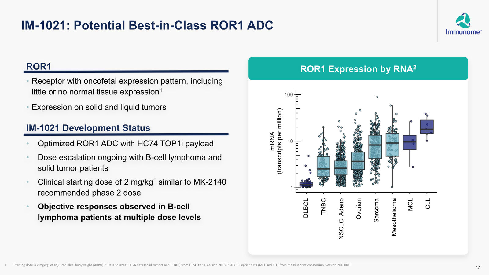 Immunome Corporate Presentation — March 2026 — slide 17 of 32