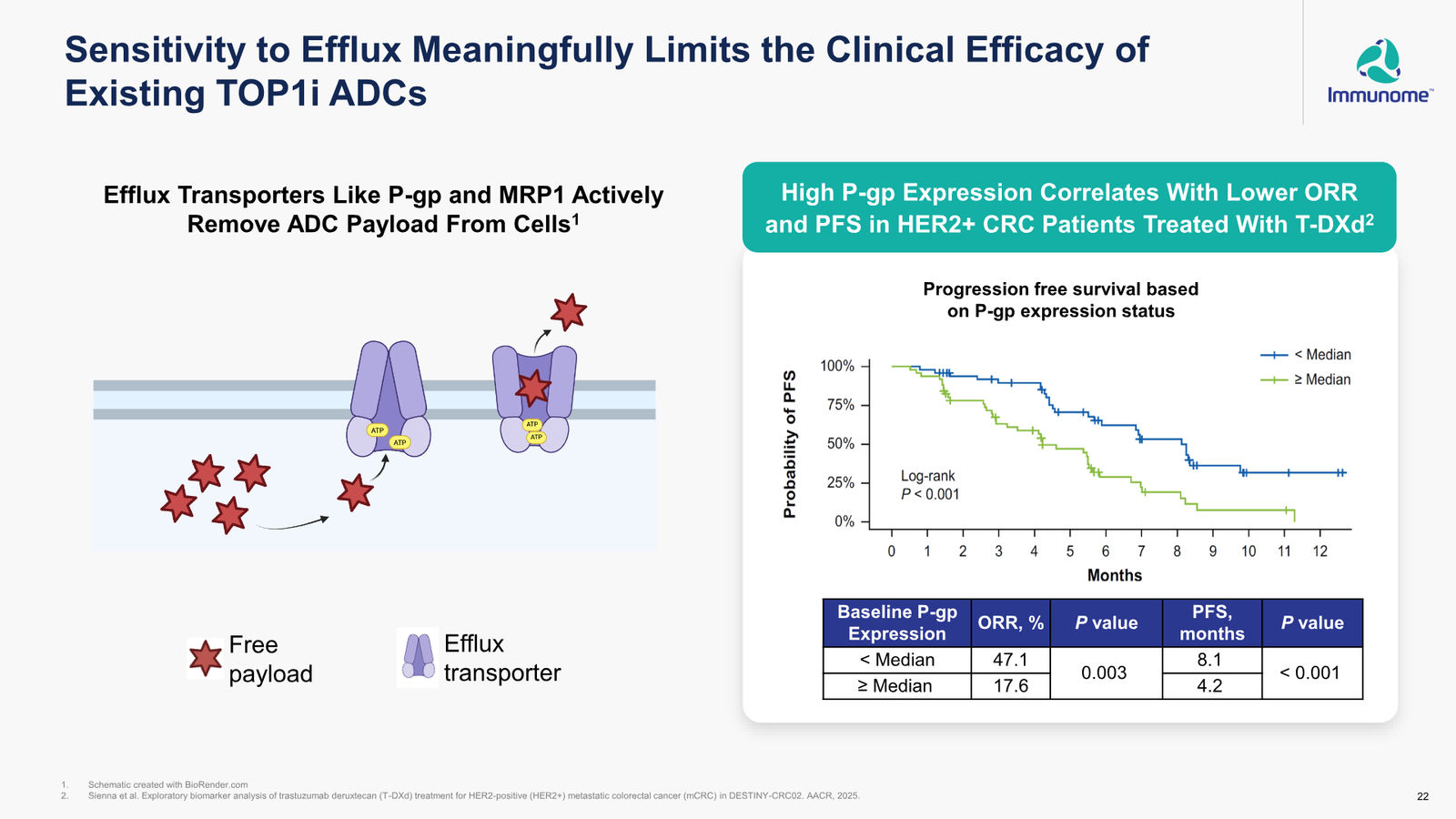 Immunome Corporate Presentation — March 2026 — slide 22 of 32