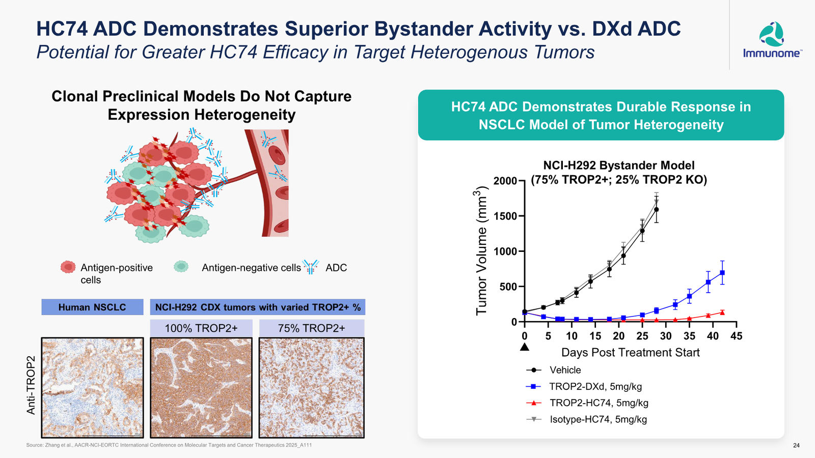 Immunome Corporate Presentation — March 2026 — slide 24 of 32