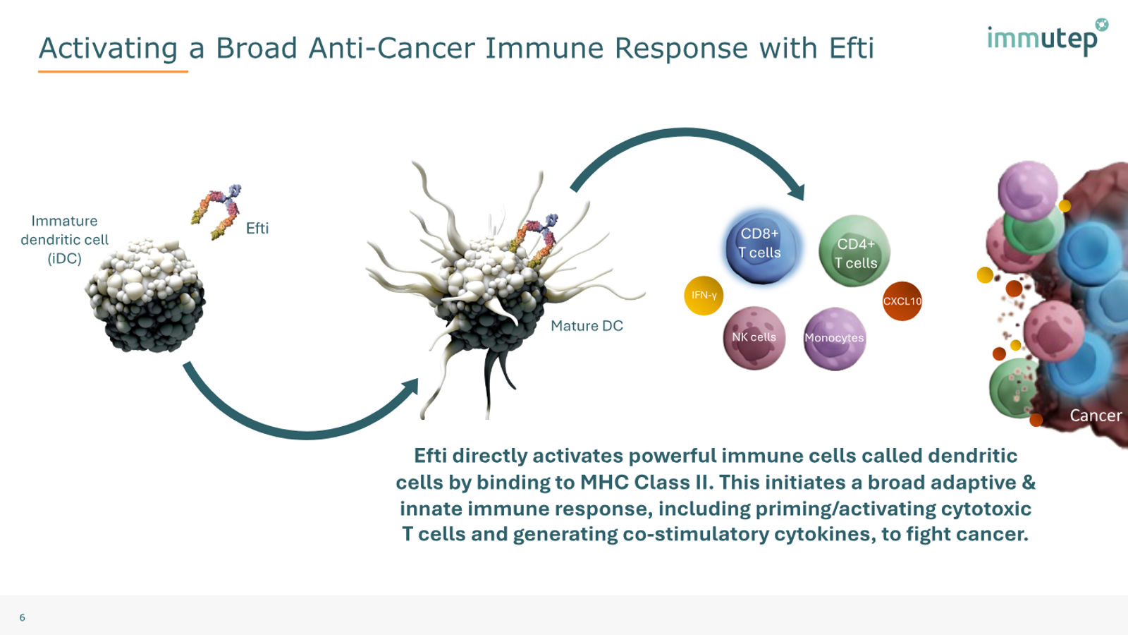Immutep Corporate Presentation — February 2026 — slide 6 of 39