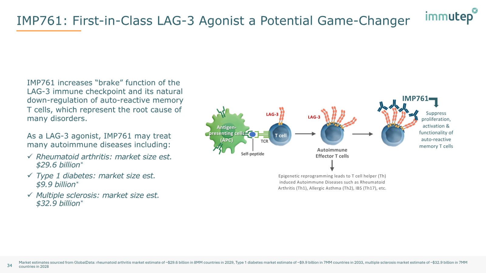Immutep Corporate Presentation — February 2026 — slide 34 of 39