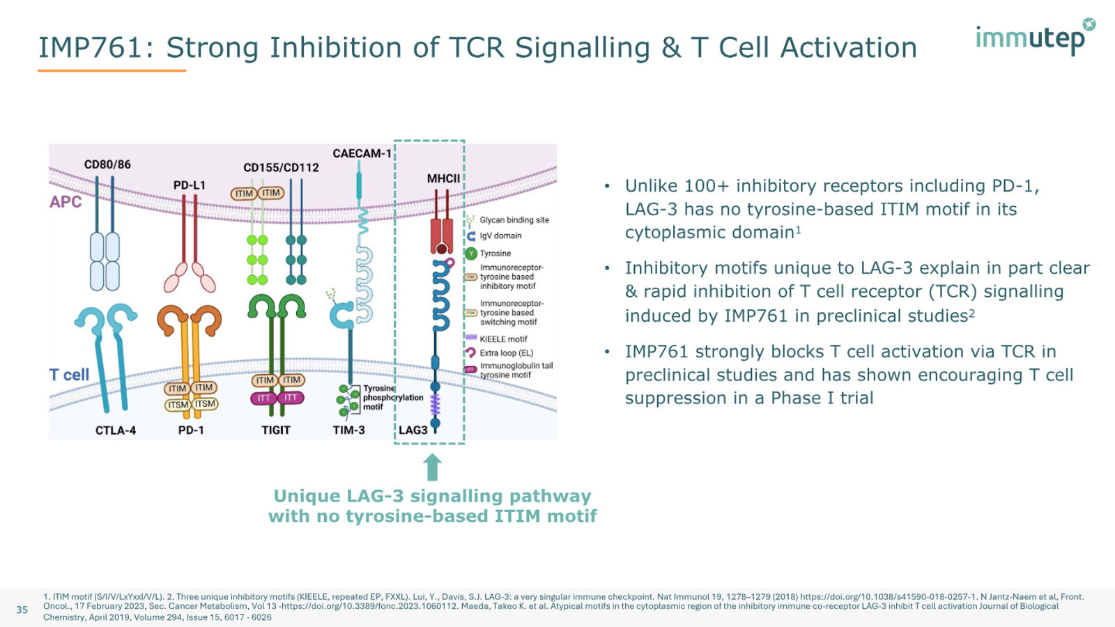 Immutep Corporate Presentation — February 2026 — slide 35 of 39