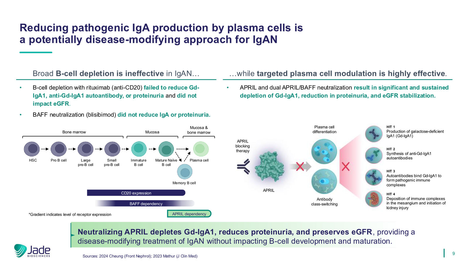 Jade Biosciences Company Presentation — March 2026 — slide 9 of 35