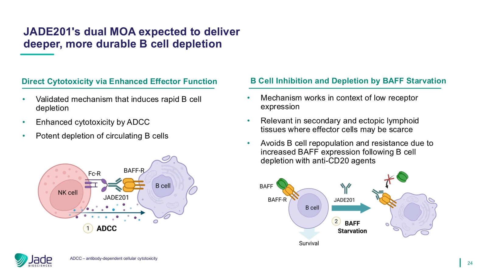 Jade Biosciences Company Presentation — March 2026 — slide 24 of 35