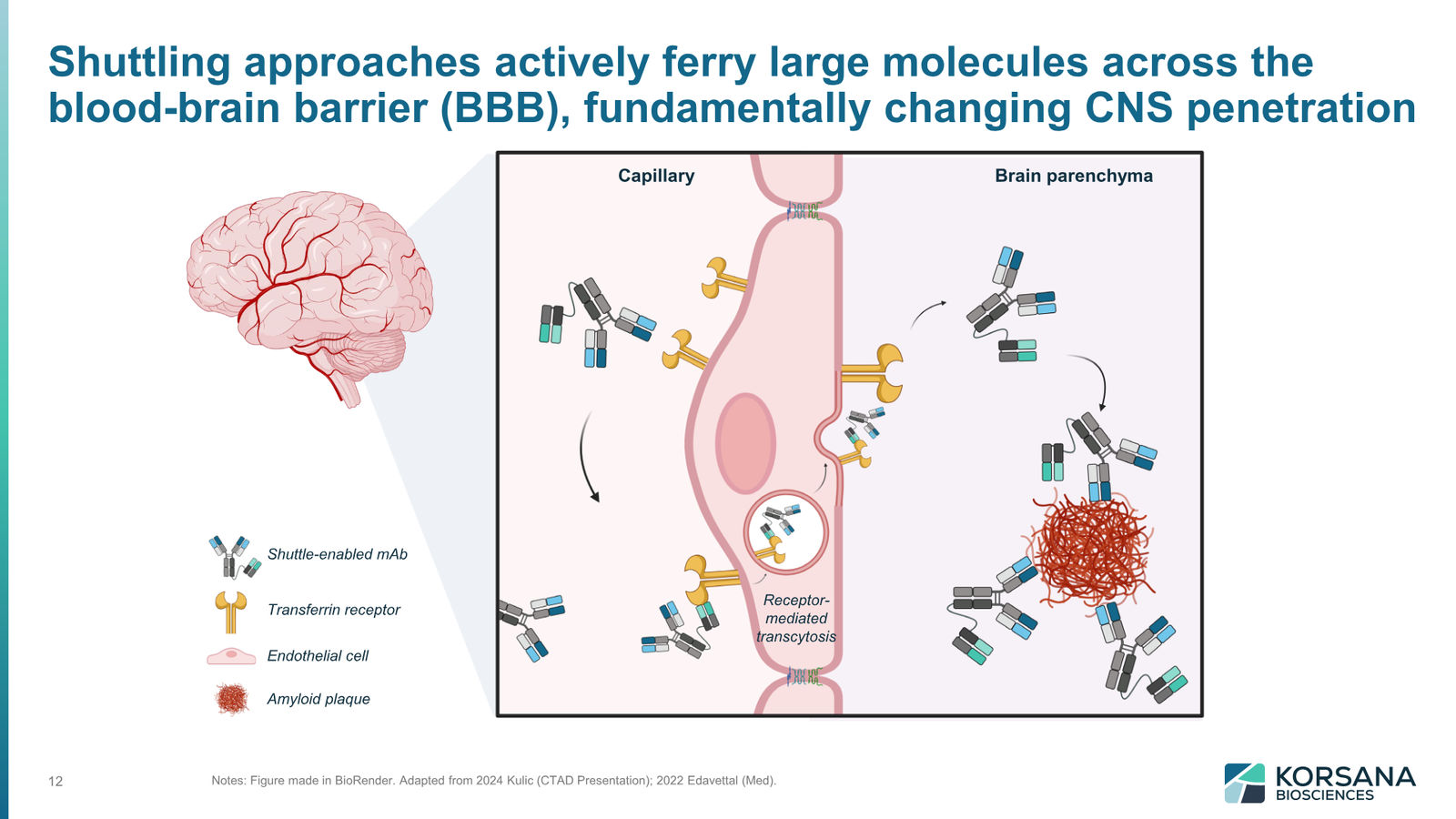 Korsana Biosciences Corporate Deck April 2026 — slide 12 of 31
