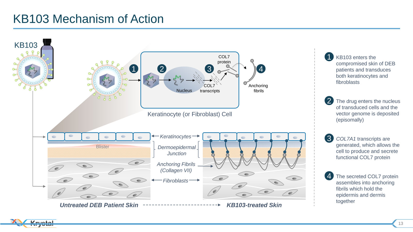 Krystal Biotech Corporate Presentation Q3 2019 — slide 13 of 43