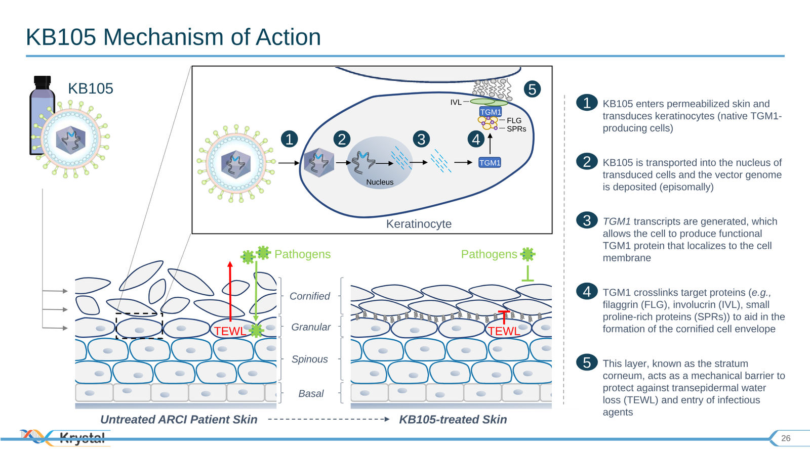 Krystal Biotech Corporate Presentation Q3 2019 — slide 26 of 43