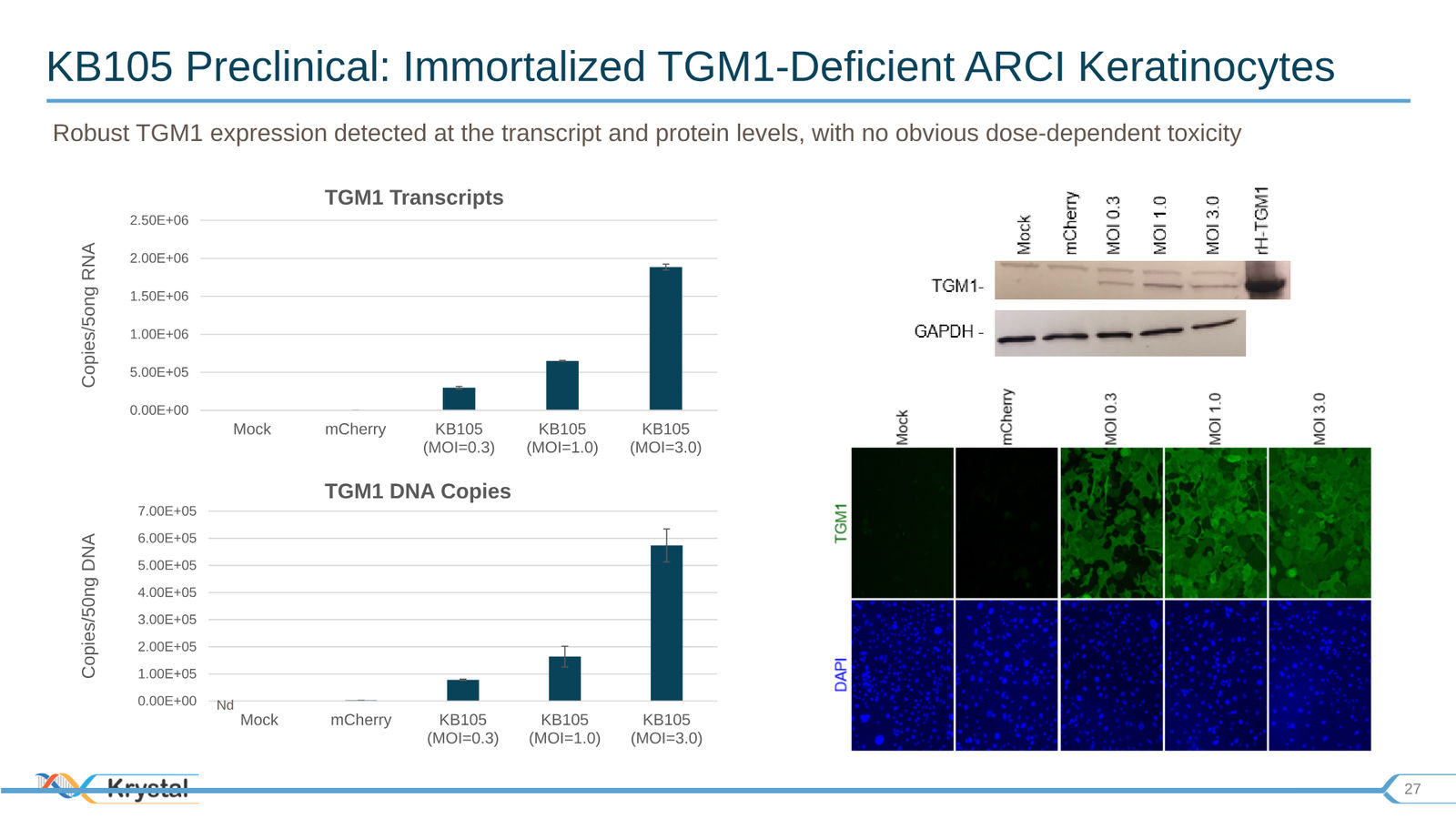 Krystal Biotech Corporate Presentation Q3 2019 — slide 27 of 43
