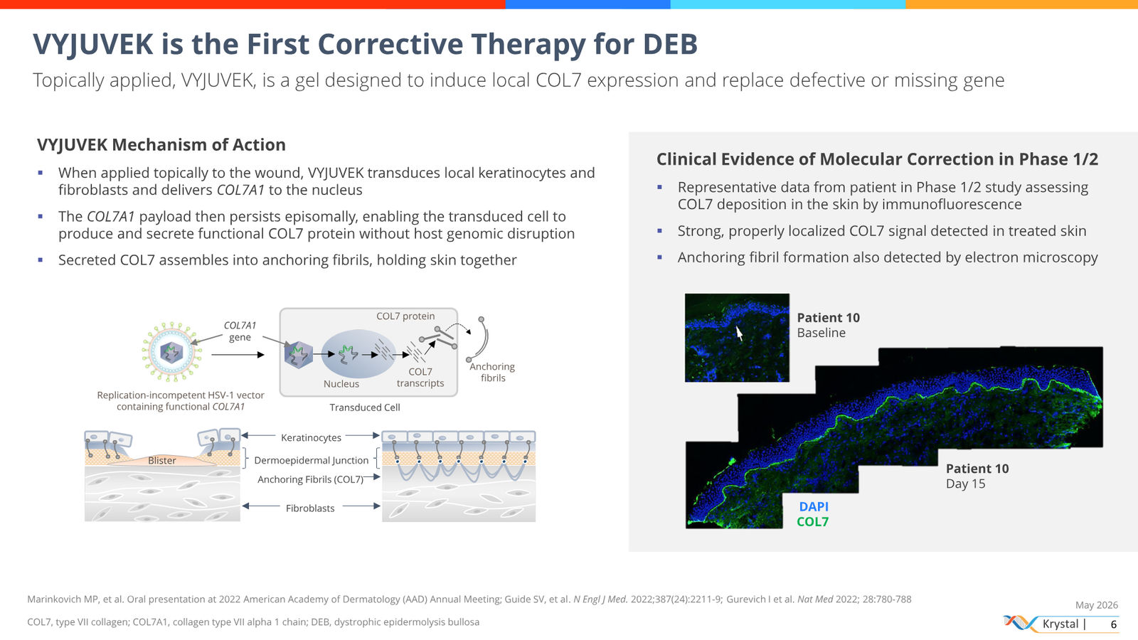 Krystal Biotech Corporate Presentation May 2026 — slide 6 of 51