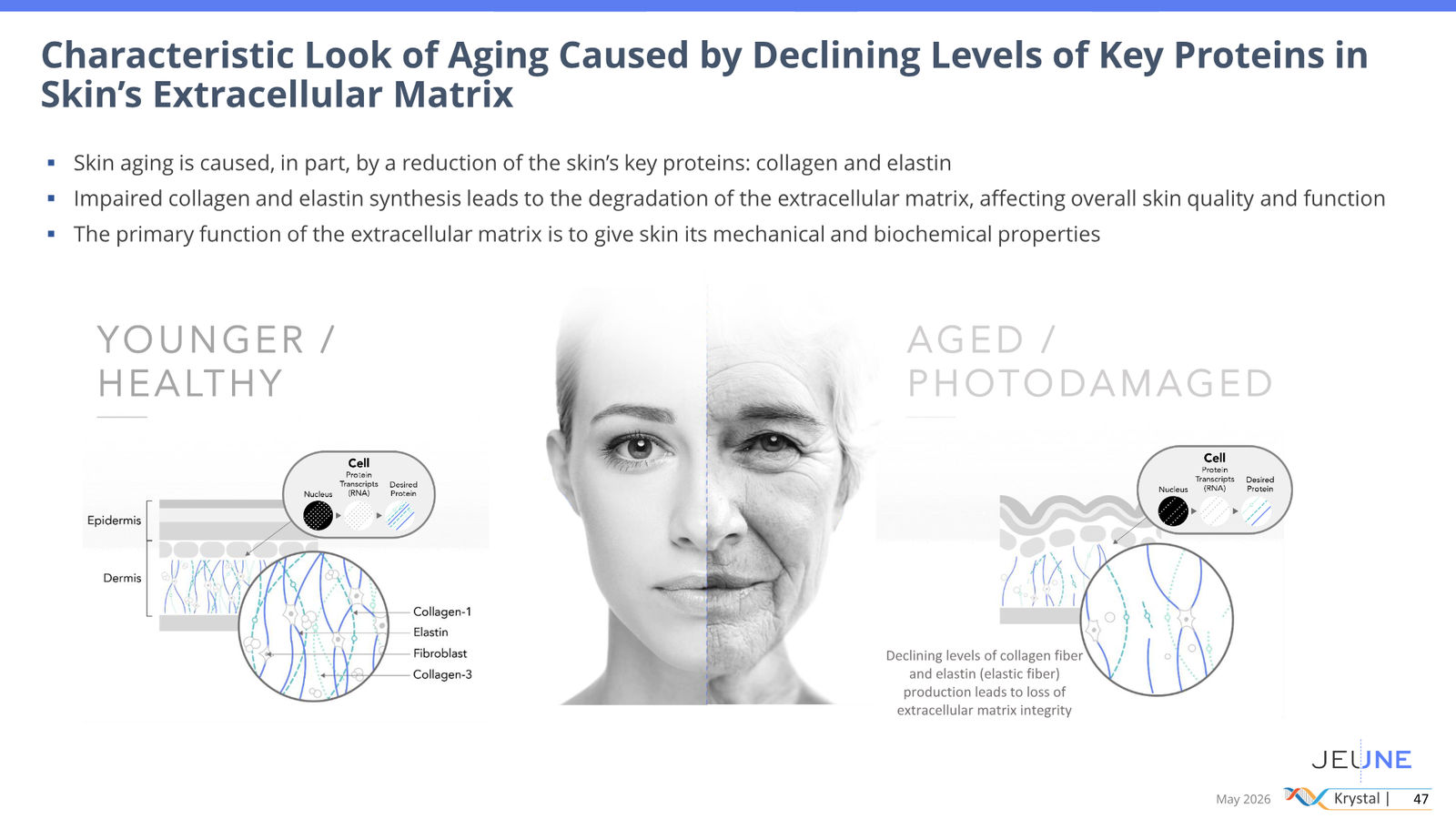 Krystal Biotech Corporate Presentation May 2026 — slide 47 of 51