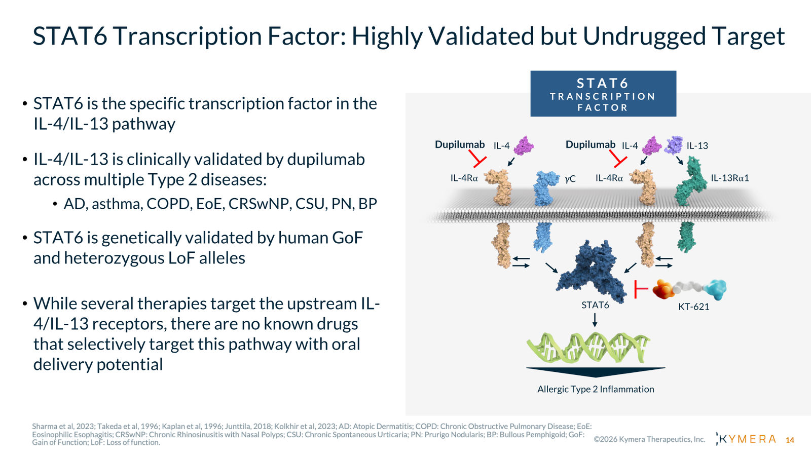 Kymera Therapeutics Corporate Presentation — February 2026 — slide 14 of 71