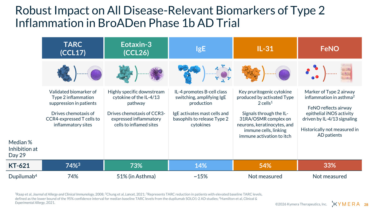 Kymera Therapeutics Corporate Presentation — February 2026 — slide 28 of 71