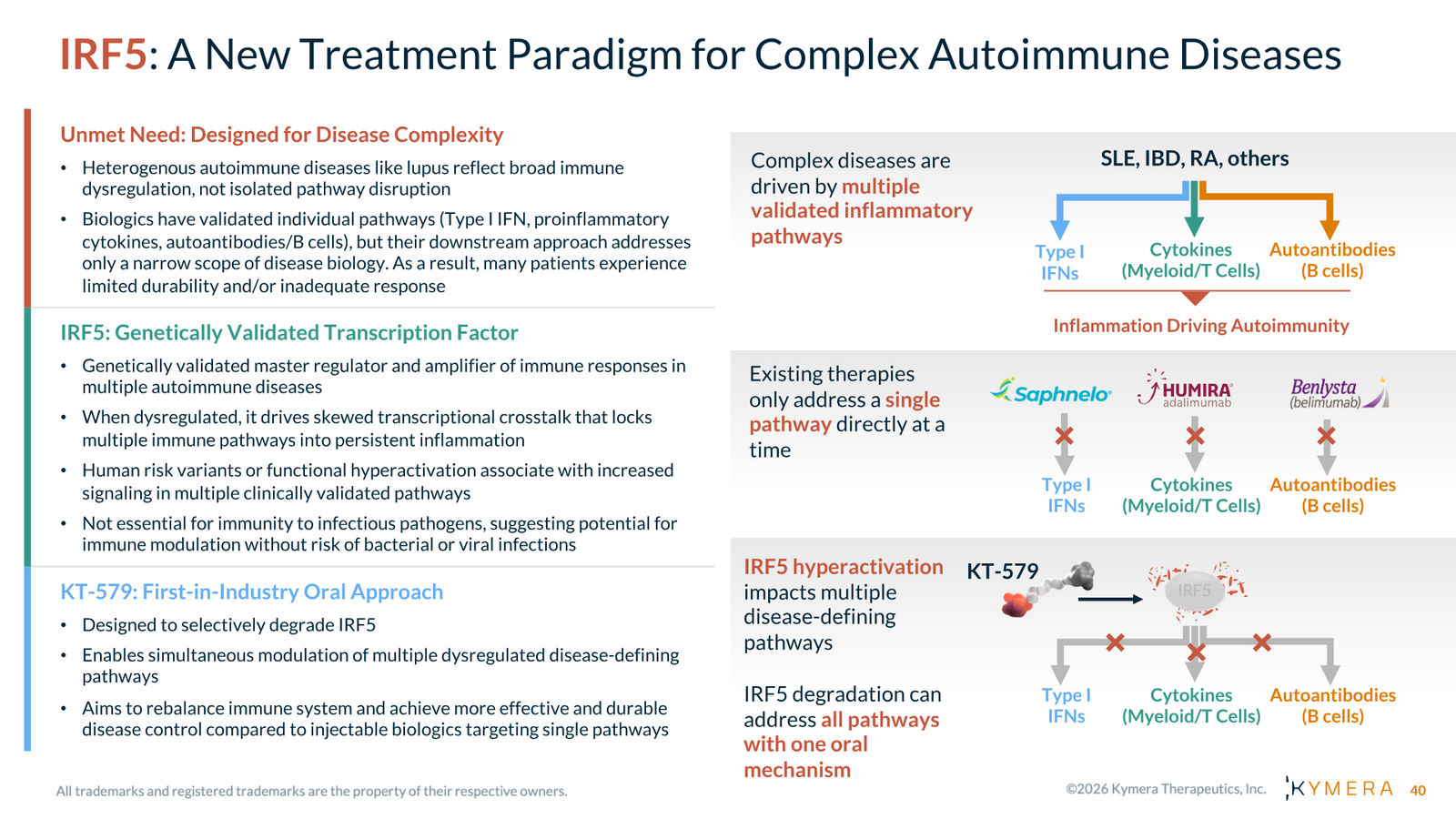 Kymera Therapeutics Corporate Presentation — February 2026 — slide 40 of 71