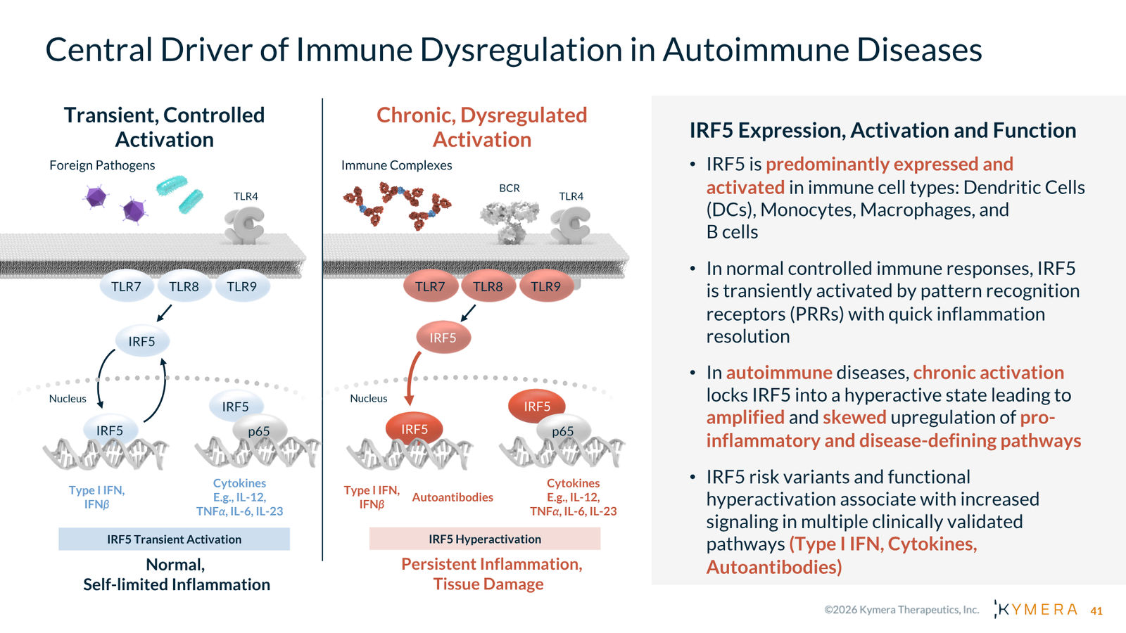 Kymera Therapeutics Corporate Presentation — February 2026 — slide 41 of 71