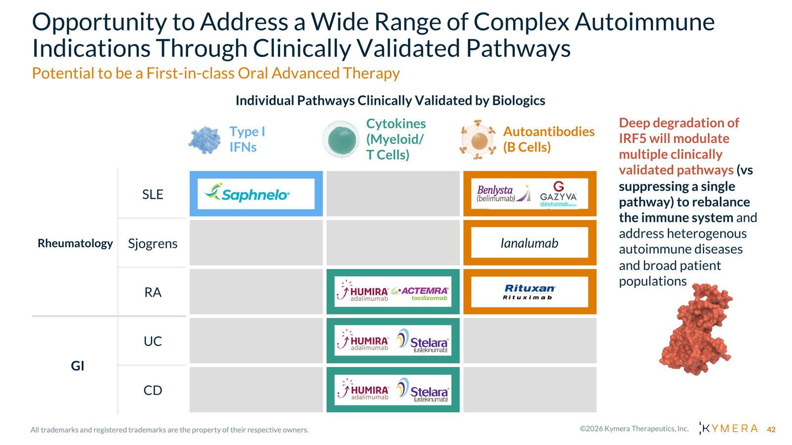 Kymera Therapeutics Corporate Presentation — February 2026 — slide 42 of 71