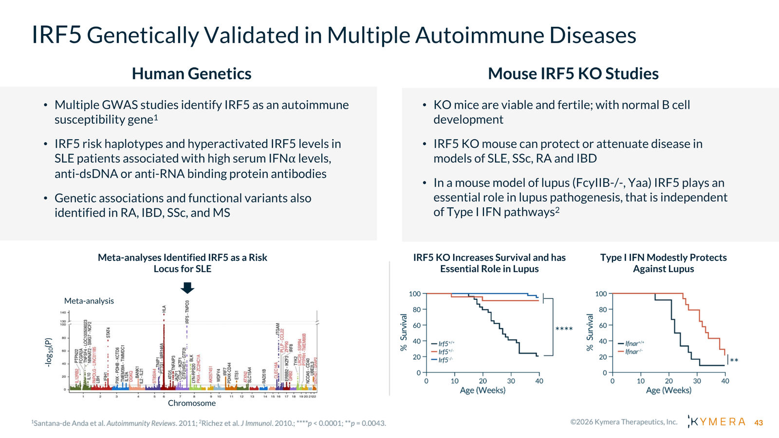 Kymera Therapeutics Corporate Presentation — February 2026 — slide 43 of 71