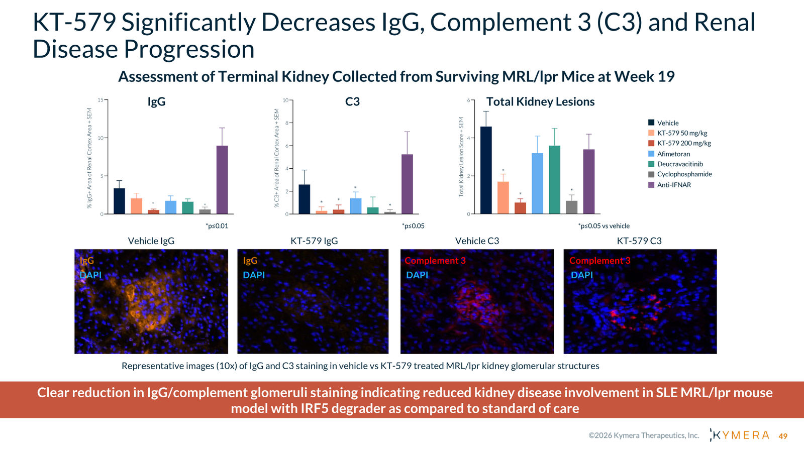 Kymera Therapeutics Corporate Presentation — February 2026 — slide 49 of 71