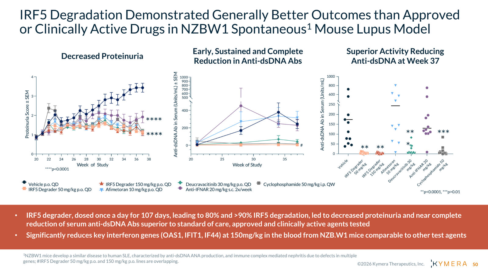Kymera Therapeutics Corporate Presentation — February 2026 — slide 50 of 71