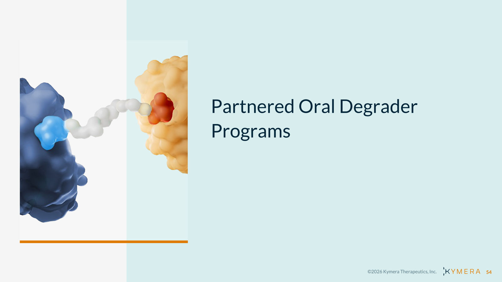 Kymera Therapeutics Corporate Presentation — February 2026 — slide 54 of 71