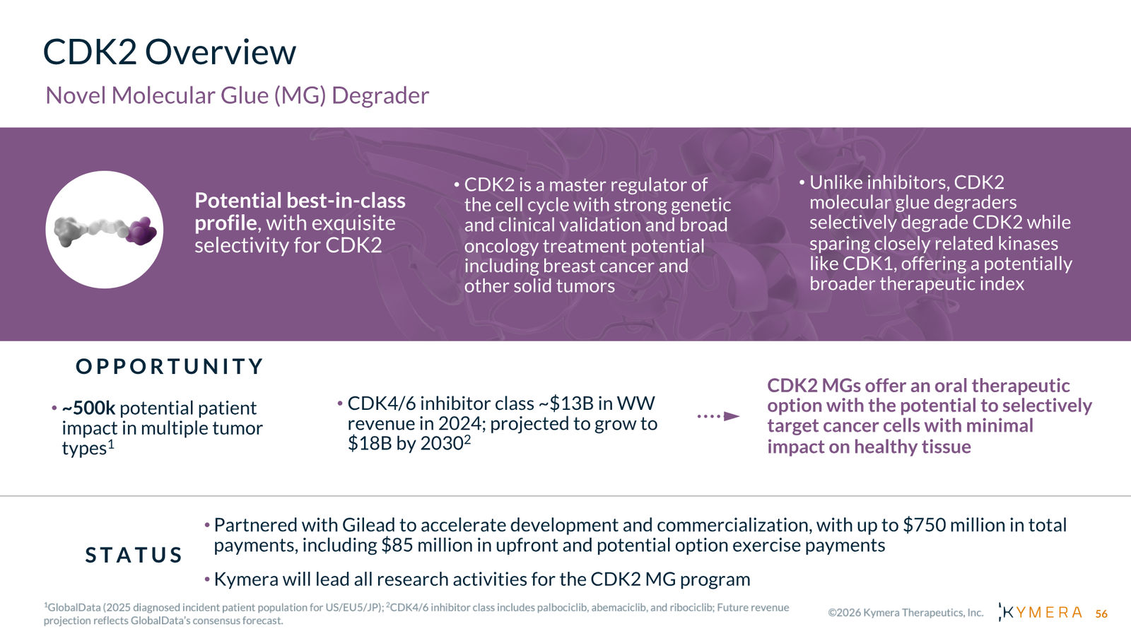 Kymera Therapeutics Corporate Presentation — February 2026 — slide 56 of 71