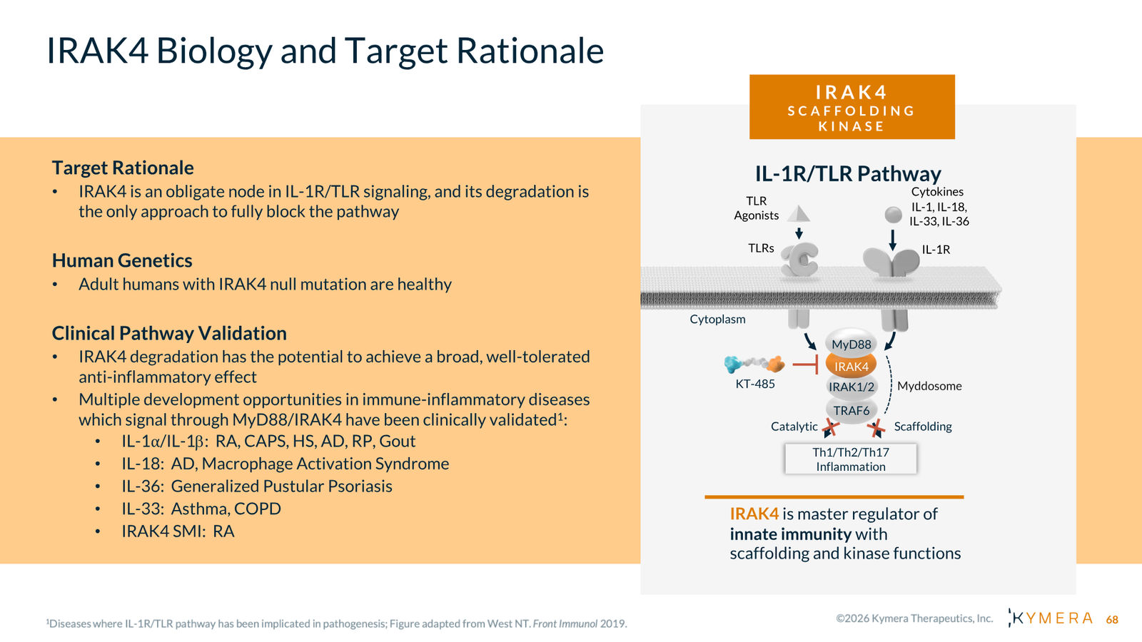 Kymera Therapeutics Corporate Presentation — February 2026 — slide 68 of 71