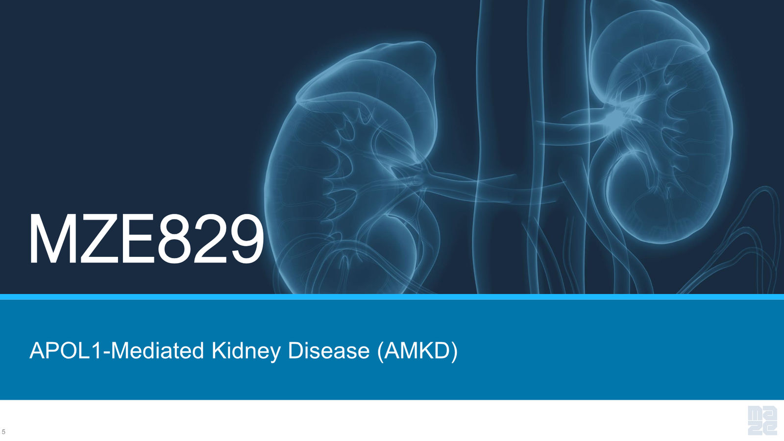 Maze Therapeutics Corporate Presentation — April 2026 — slide 5 of 37