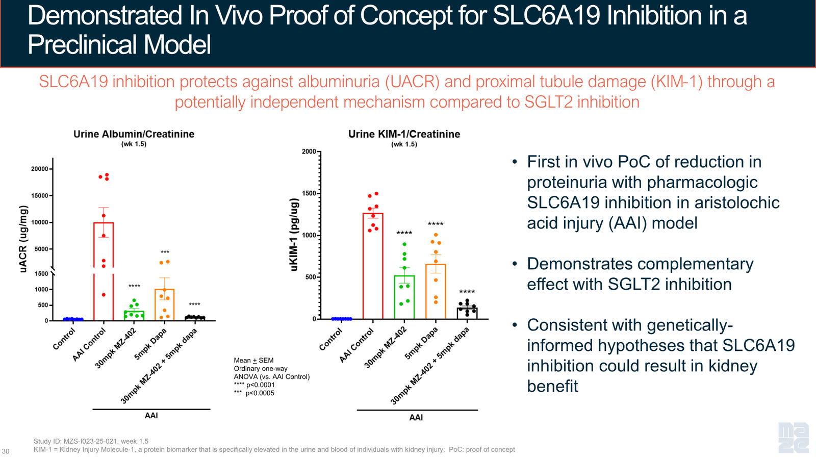 Maze Therapeutics Corporate Presentation — April 2026 — slide 30 of 37