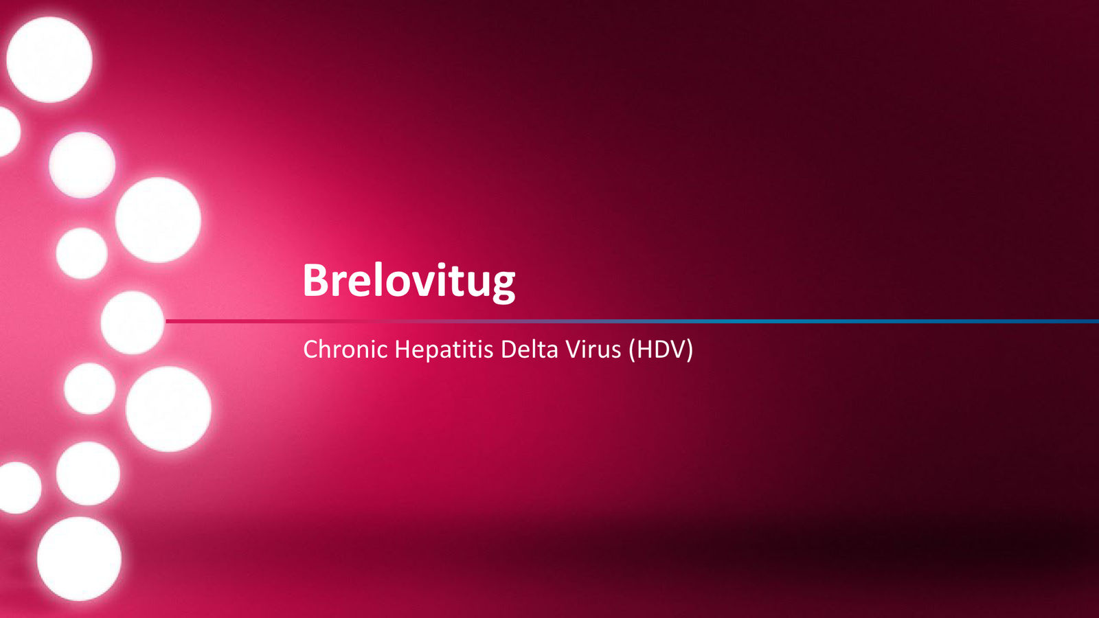 Mirum Corporate Presentation April 2026 — slide 29 of 63