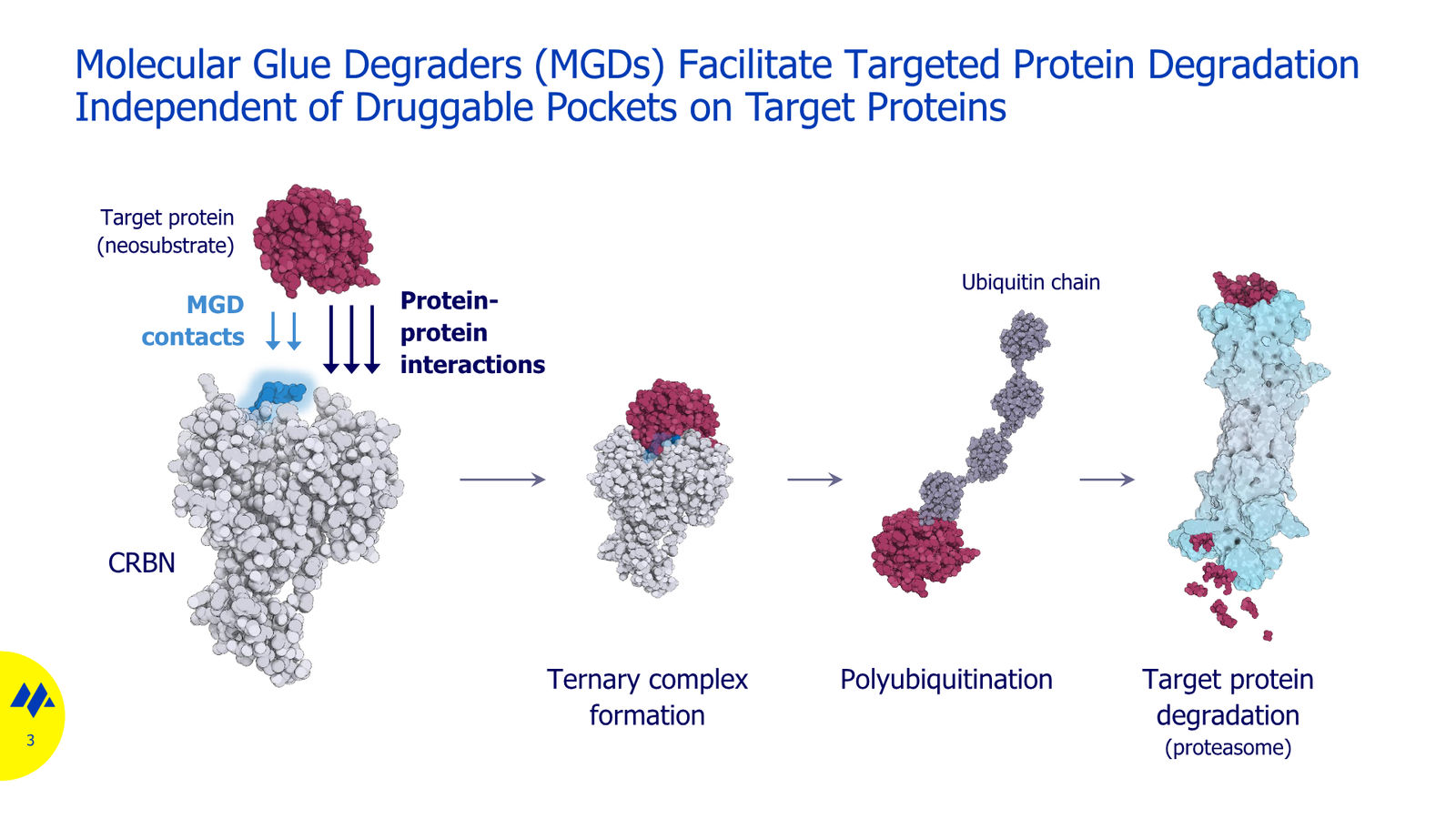 Monte Rosa Therapeutics JP Morgan 2026 — slide 3 of 11