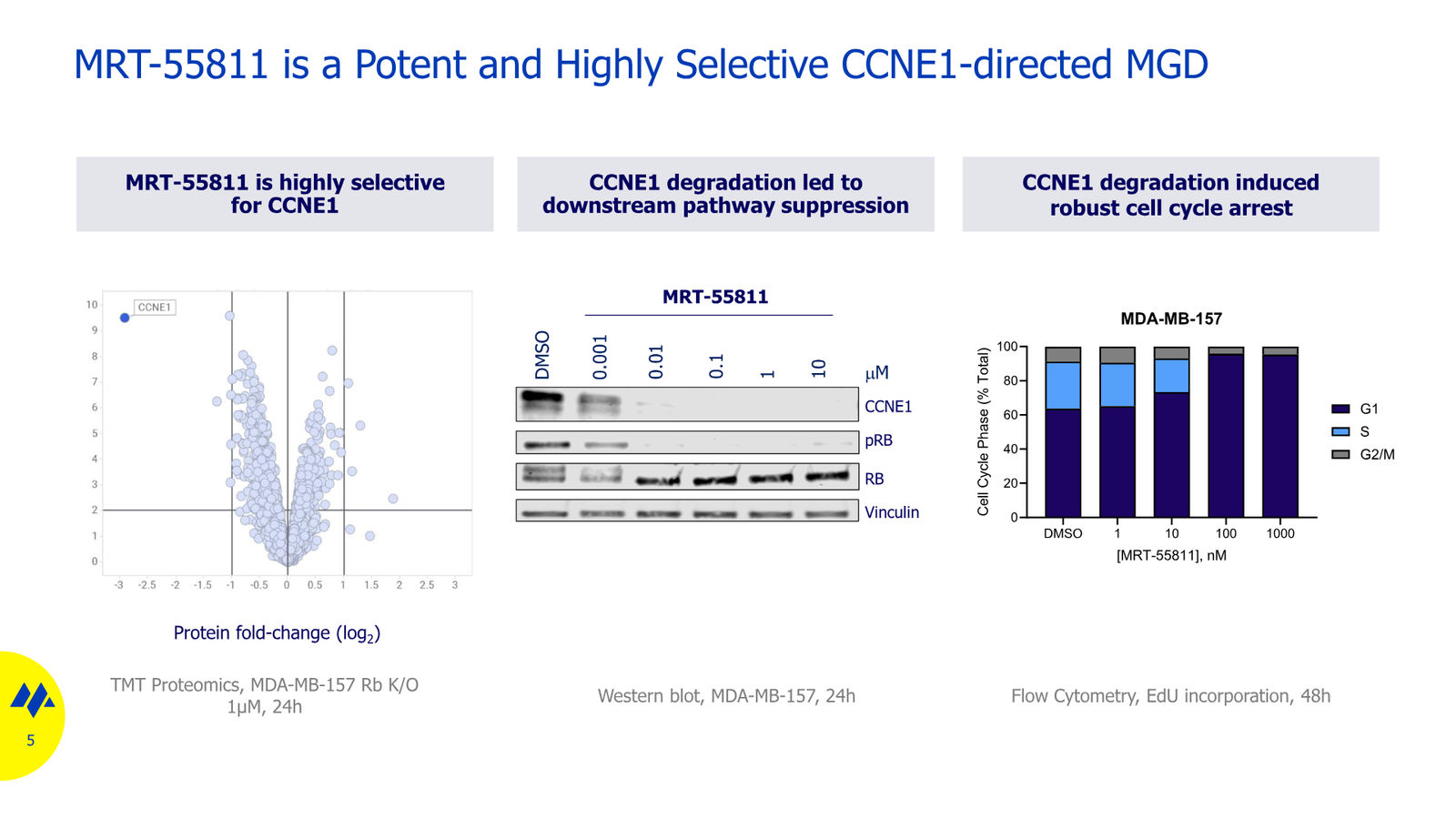 Monte Rosa Therapeutics JP Morgan 2026 — slide 5 of 11