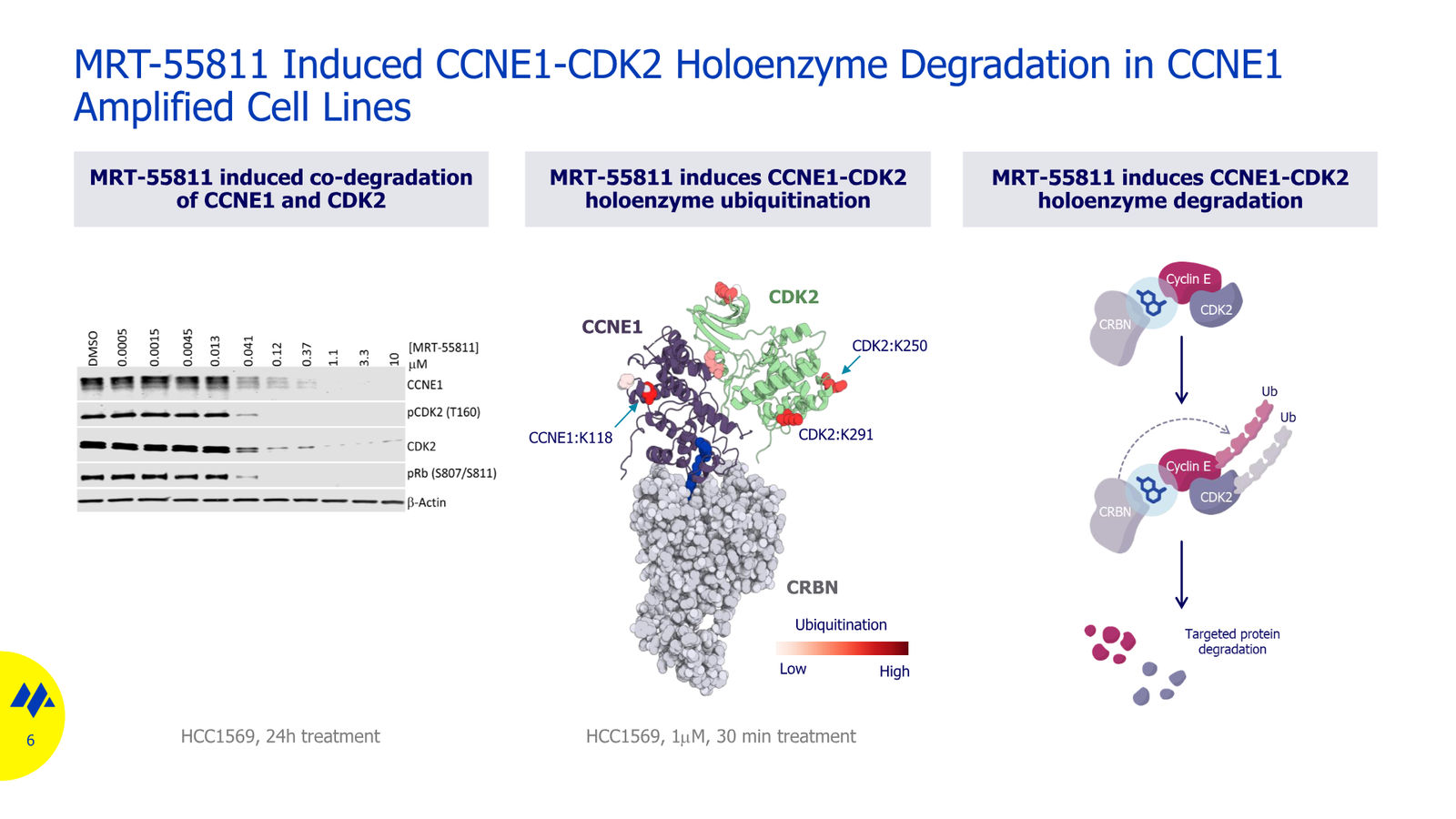 Monte Rosa Therapeutics JP Morgan 2026 — slide 6 of 11