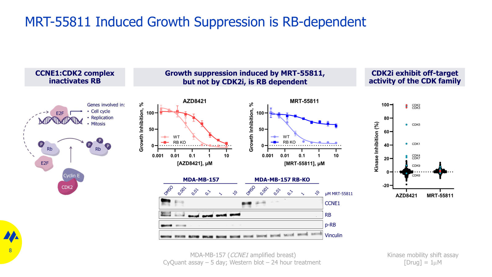 Monte Rosa Therapeutics JP Morgan 2026 — slide 8 of 11