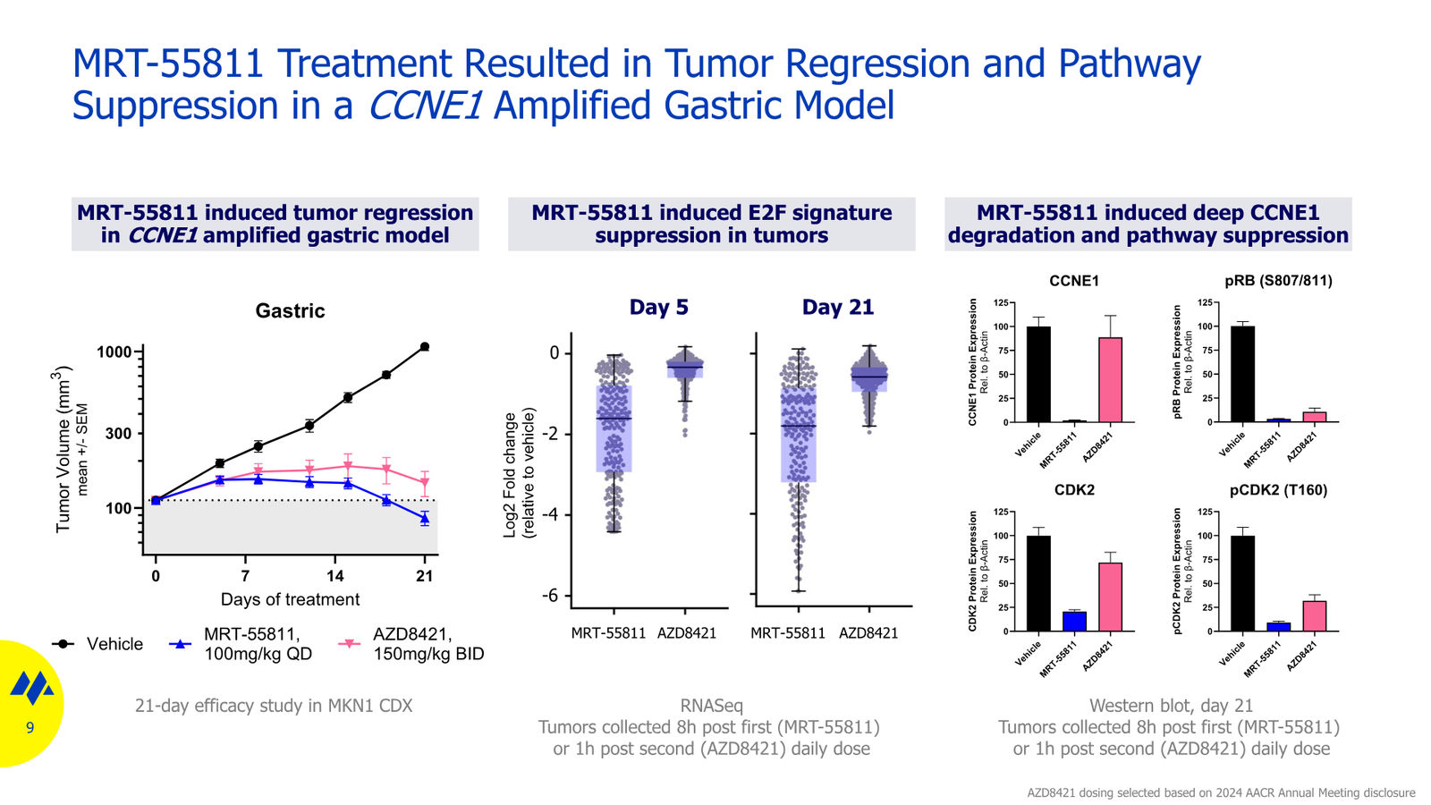 Monte Rosa Therapeutics JP Morgan 2026 — slide 9 of 11