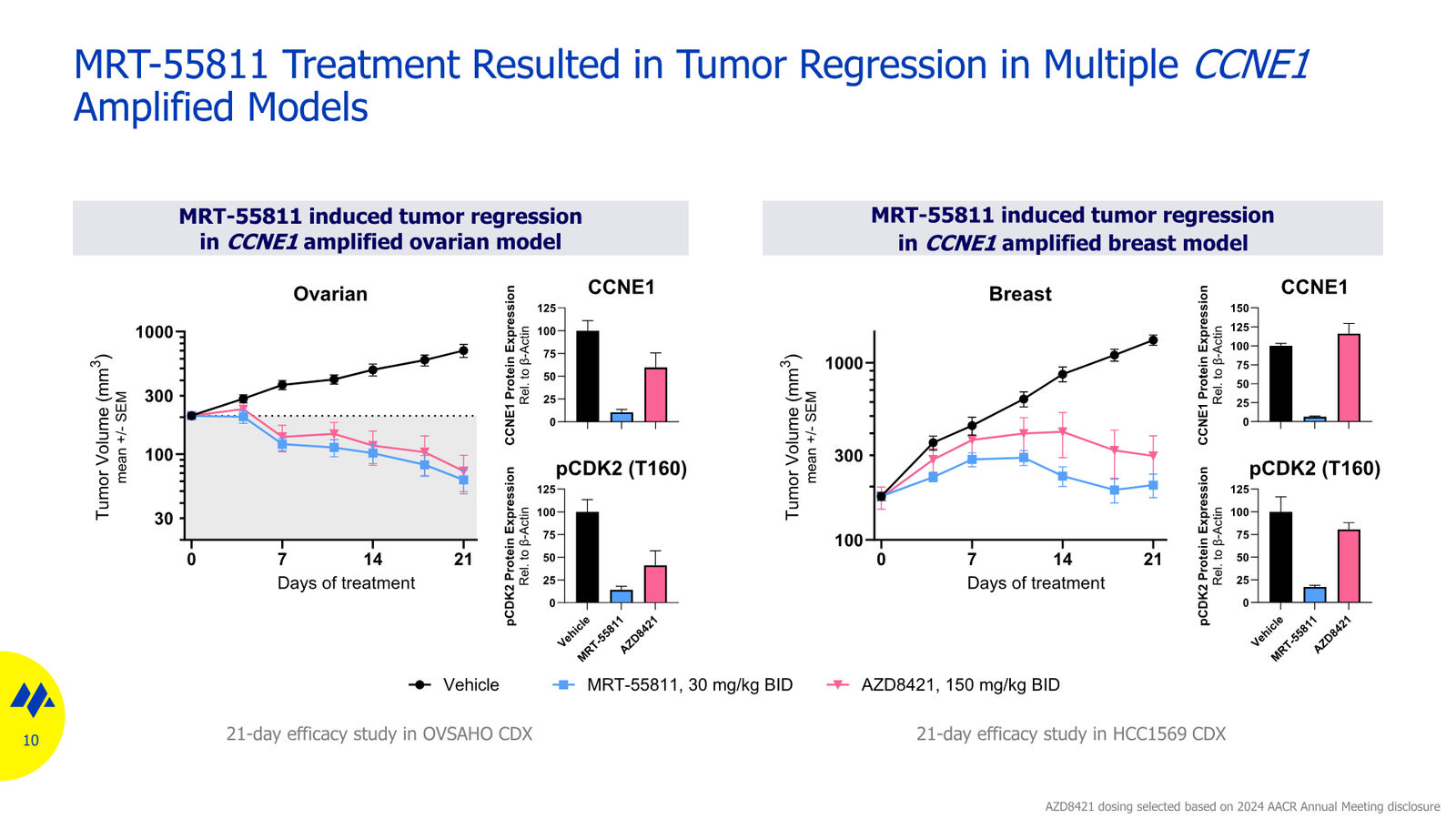 Monte Rosa Therapeutics JP Morgan 2026 — slide 10 of 11