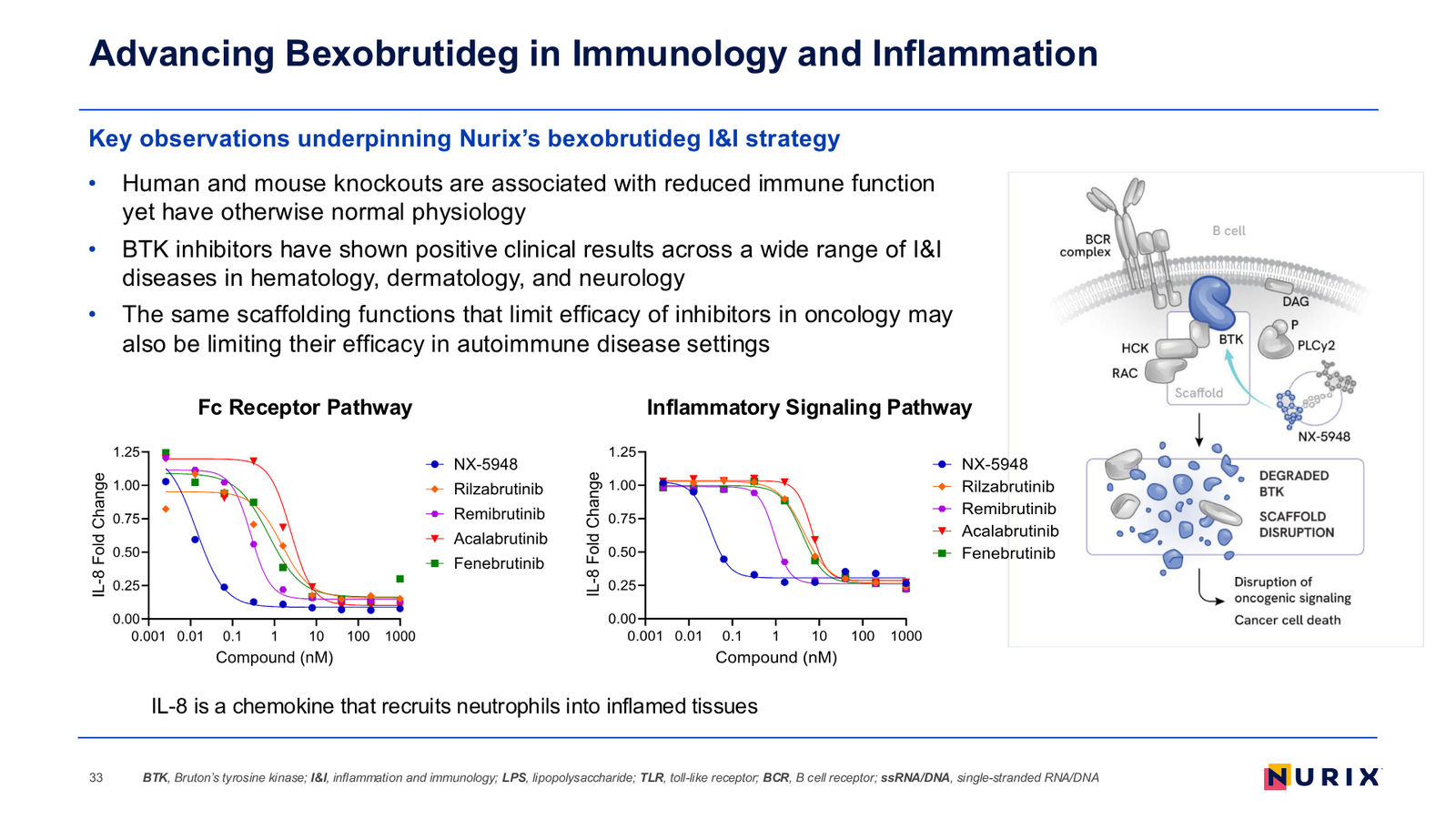 Nurix Therapeutics Investor Presentation April 2026 — slide 33 of 77