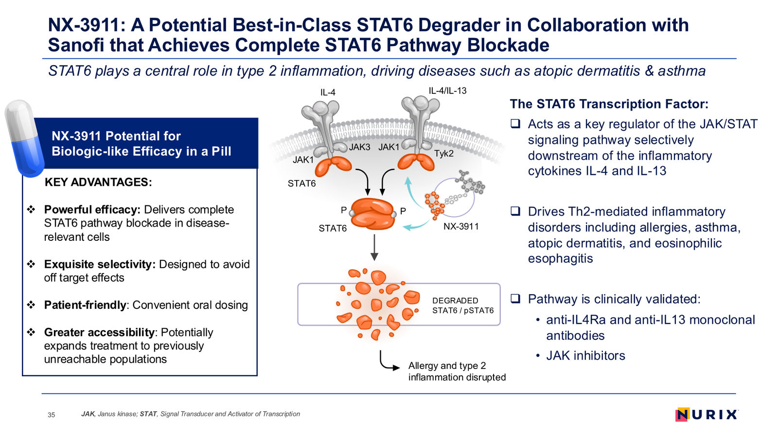 Nurix Therapeutics Investor Presentation April 2026 — slide 35 of 77