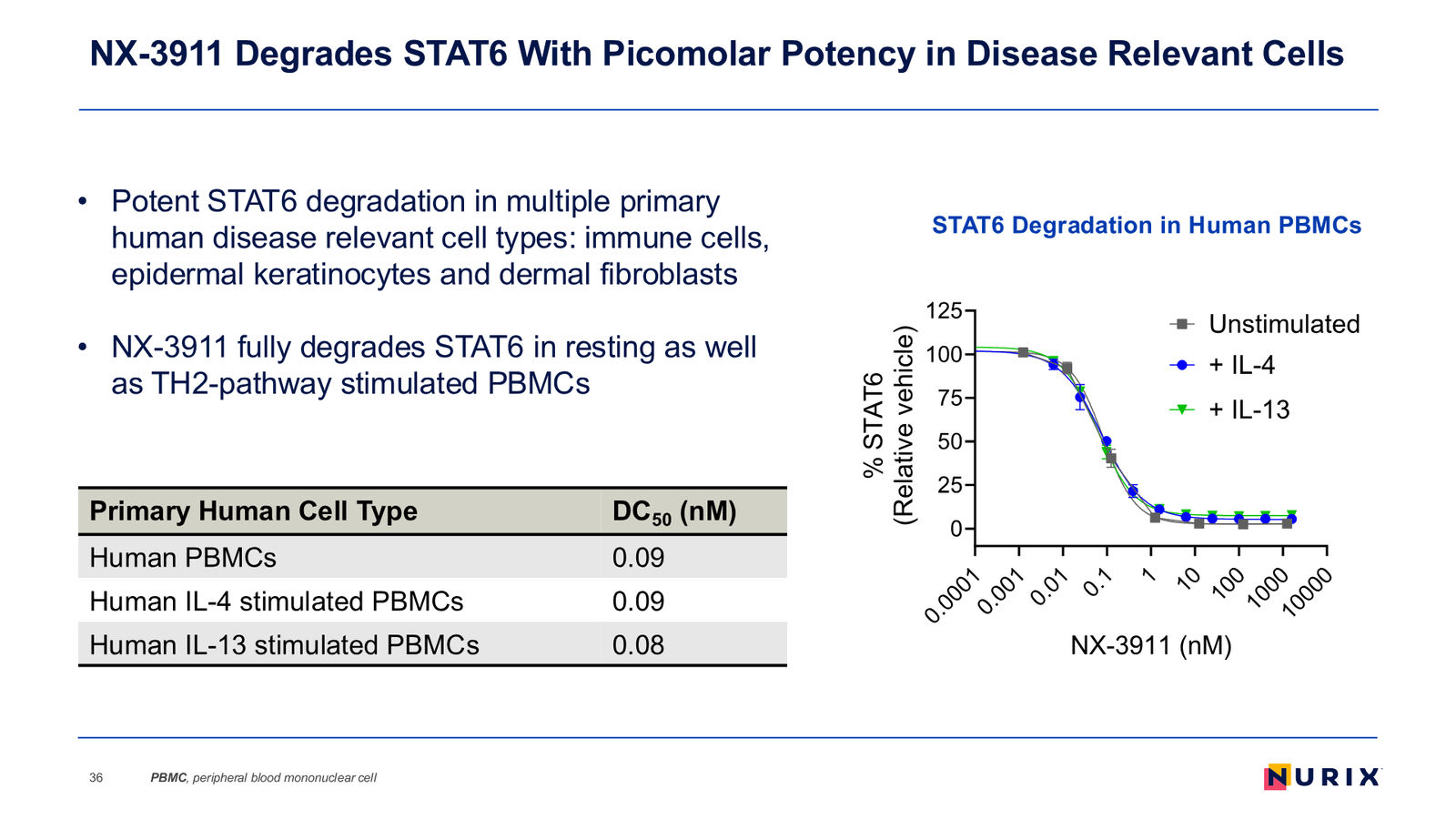 Nurix Therapeutics Investor Presentation April 2026 — slide 36 of 77