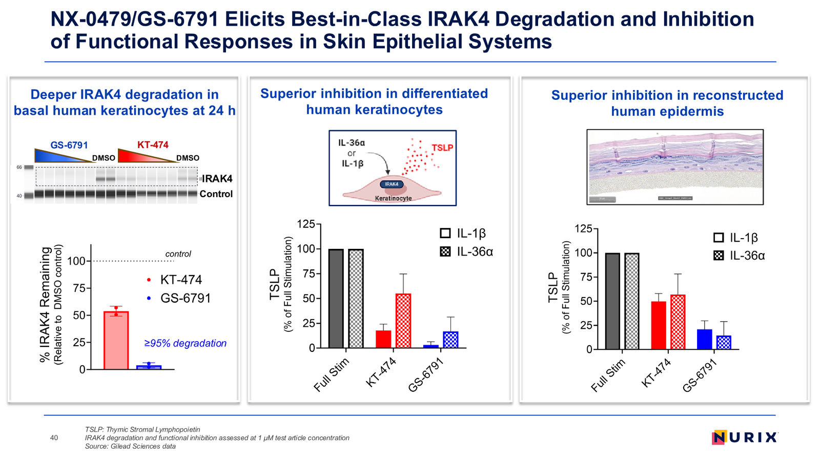 Nurix Therapeutics Investor Presentation April 2026 — slide 40 of 77
