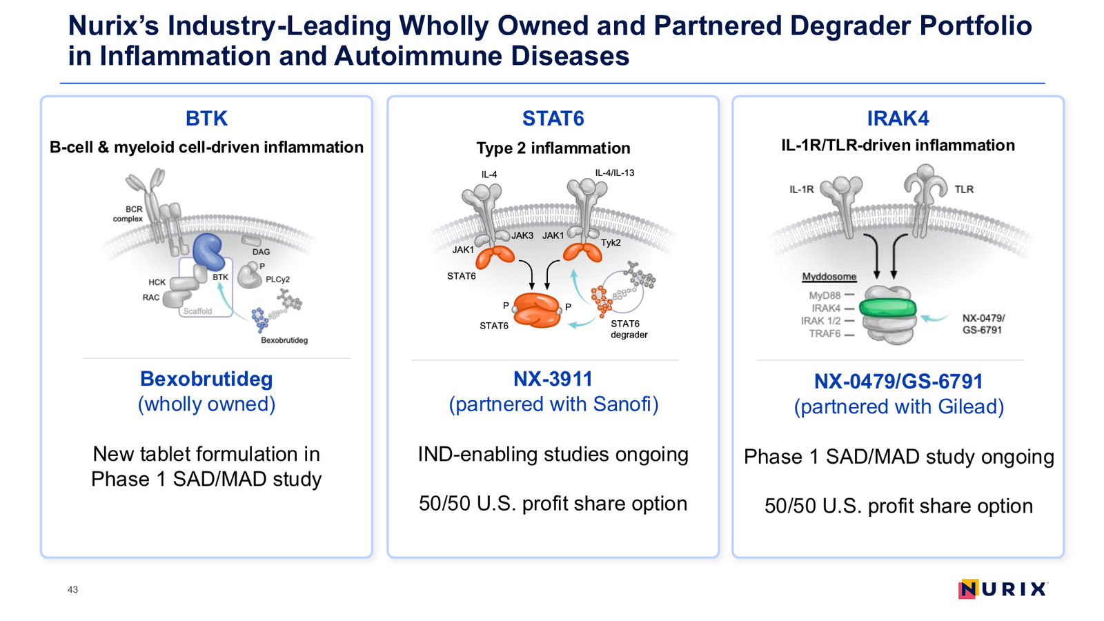 Nurix Therapeutics Investor Presentation April 2026 — slide 43 of 77