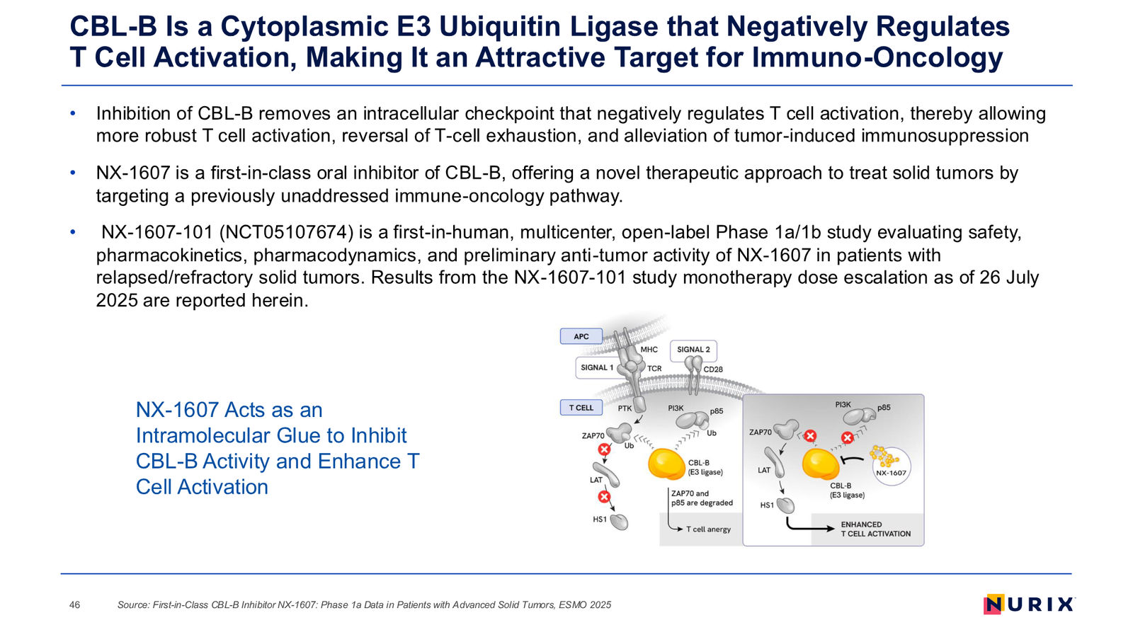 Nurix Therapeutics Investor Presentation April 2026 — slide 46 of 77