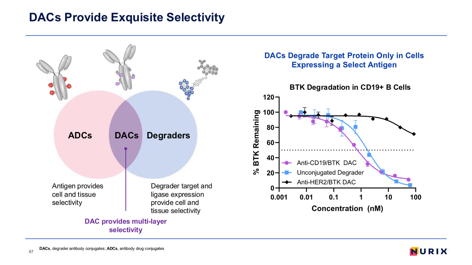 Nurix Therapeutics Investor Presentation April 2026 — slide 67 of 77