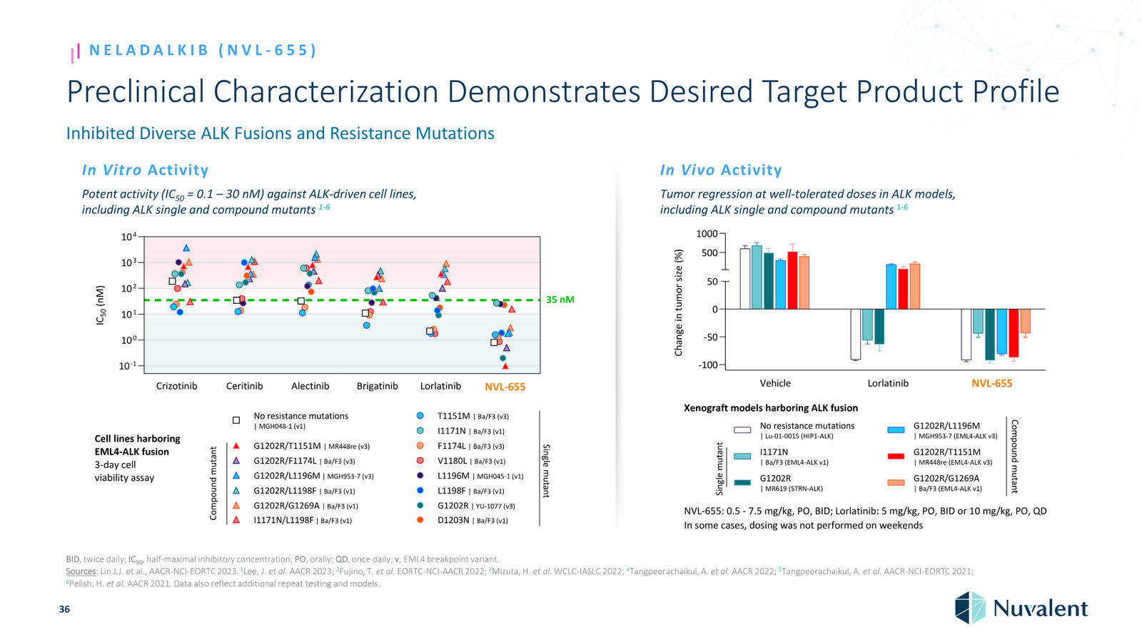 Nuvalent Corporate Overview April 2026 — slide 36 of 60