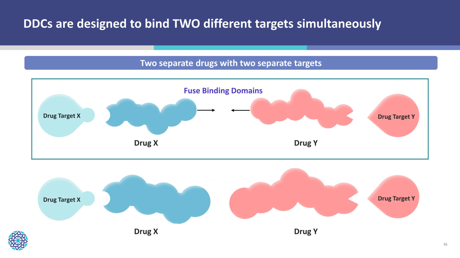 Nuvation Bio Corporate Presentation — January 2026 — slide 36 of 37